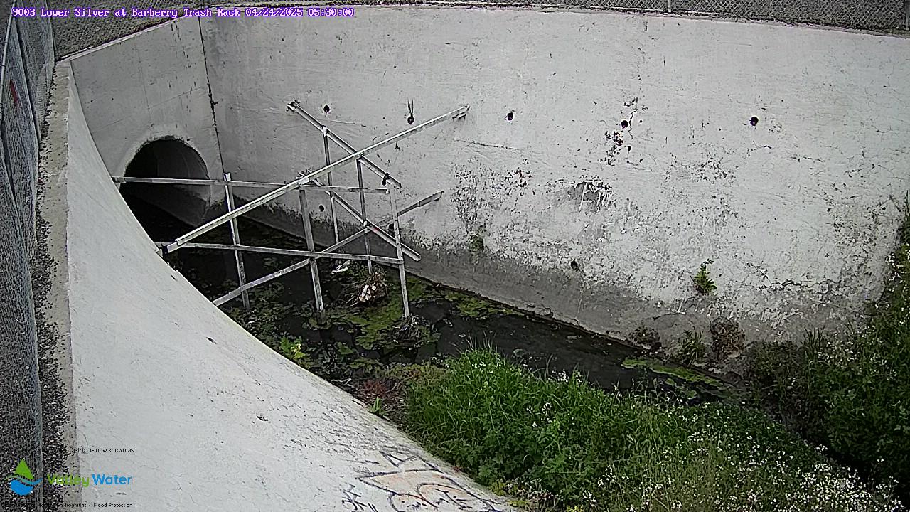 2025-04-24 05:30:00