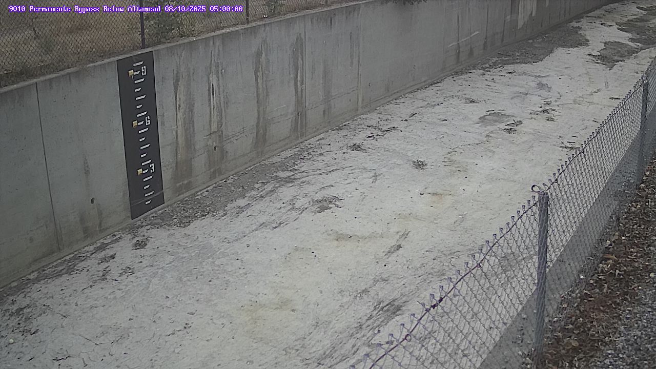 2025-08-10 05:00:00
