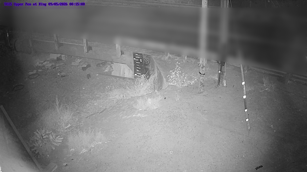 2026-09-05 00:15:00